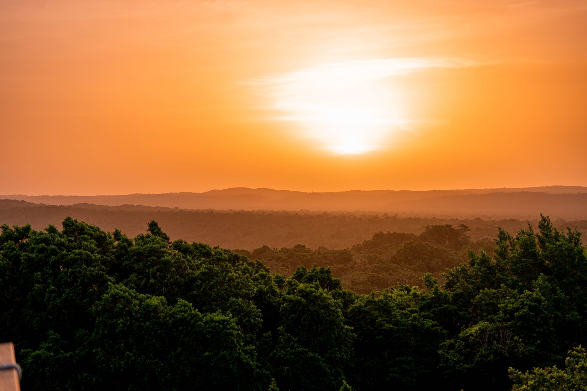 Sol anaranjado sobre el horizonte de la selva de Petén