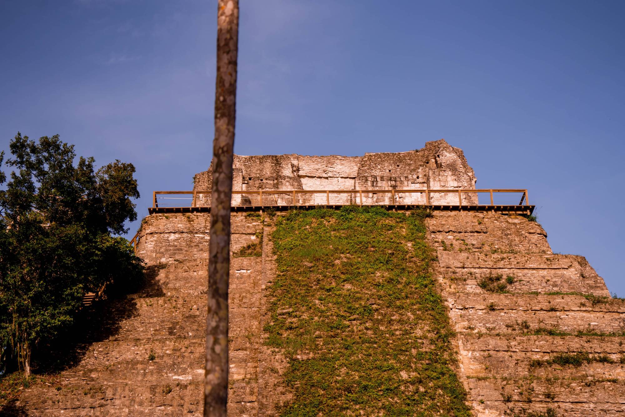 Templo 216 de Yaxha con su plataforma de madera en la cima